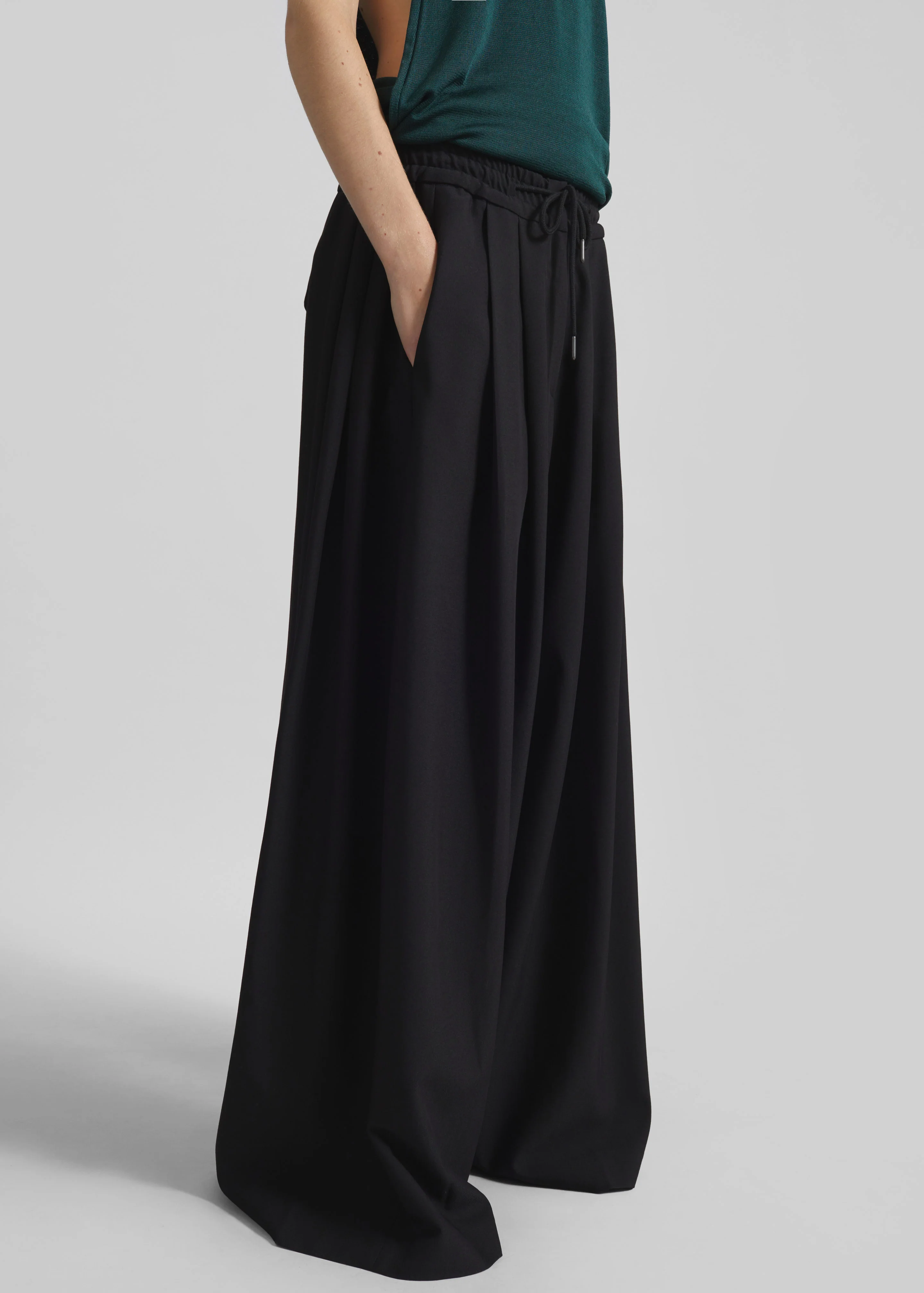 Corlen Pleated Wide Pants - Black - Image 5