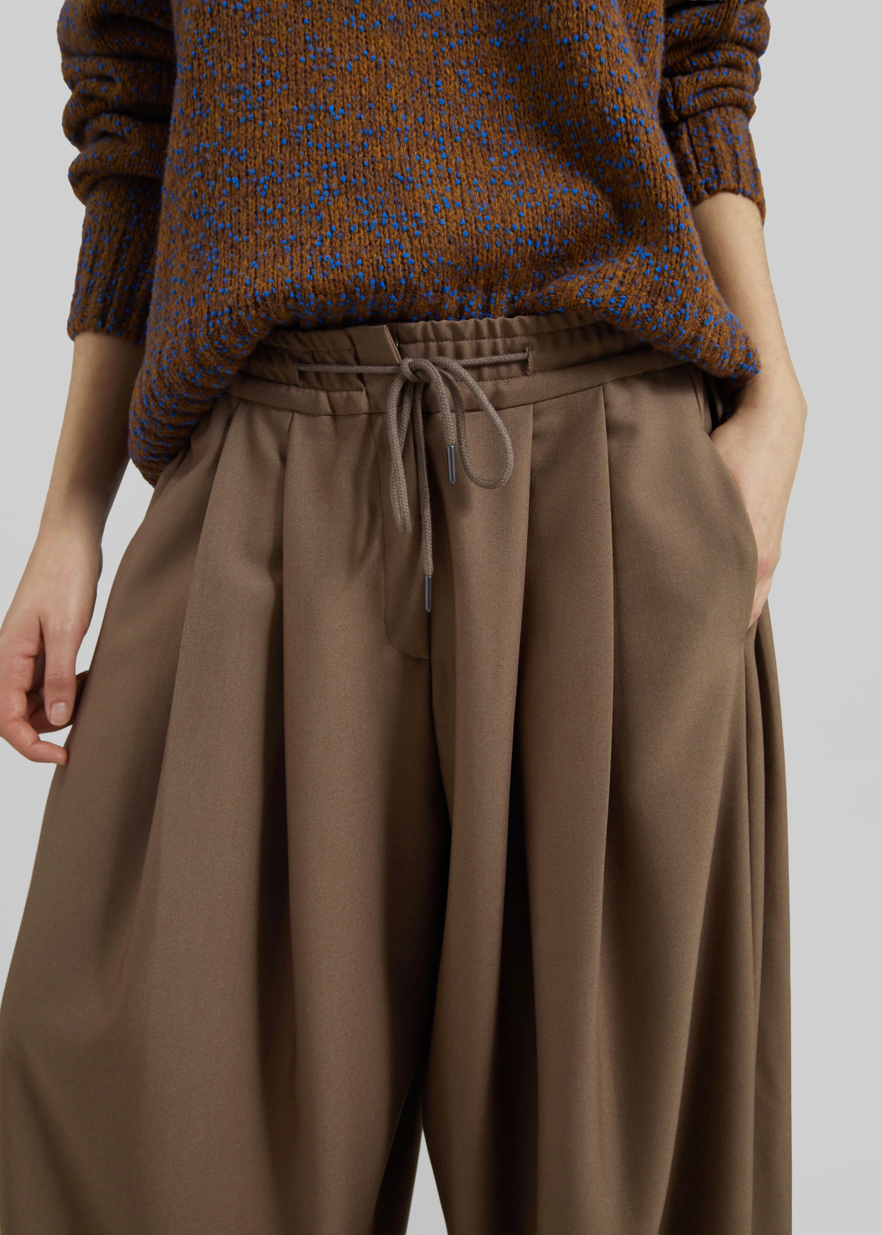 Corlen Pleated Wide Pants - Brown - Image 2
