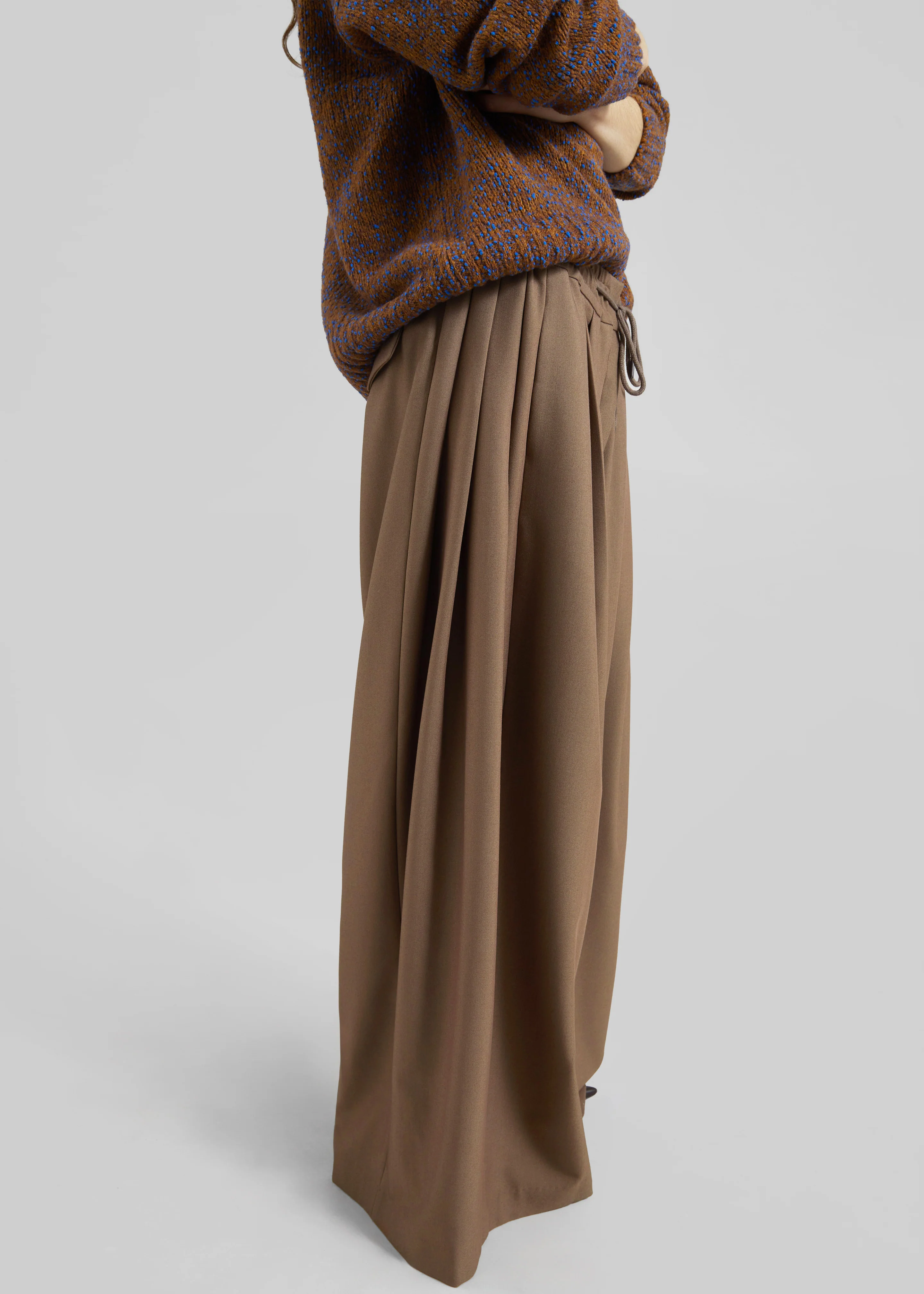Corlen Pleated Wide Pants - Brown - Image 3