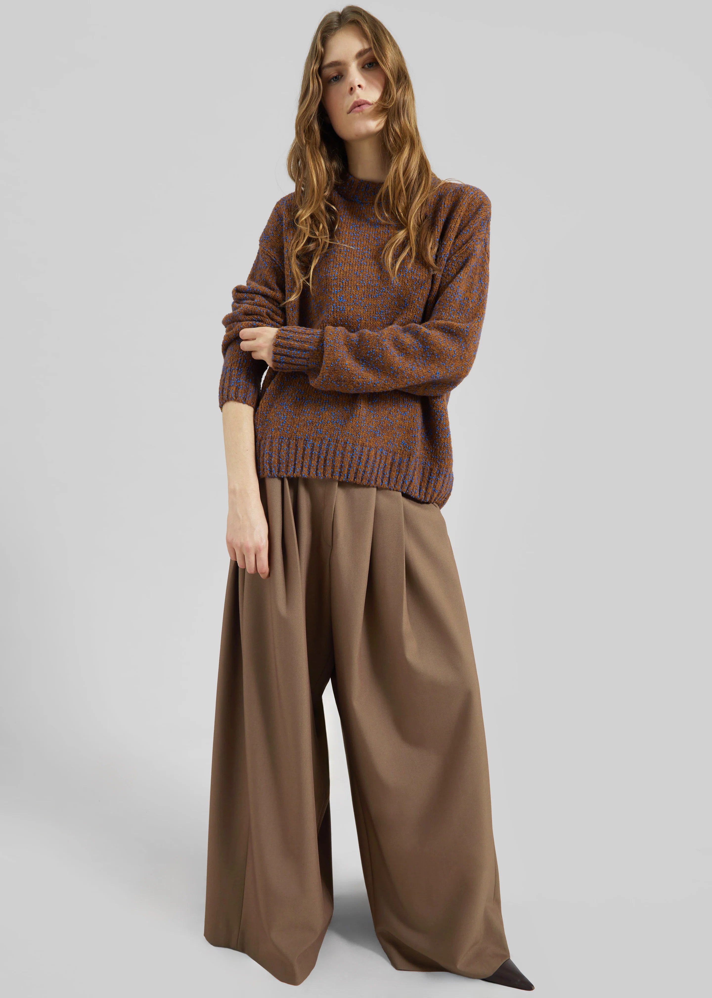 Corlen Pleated Wide Pants - Brown - Image 6