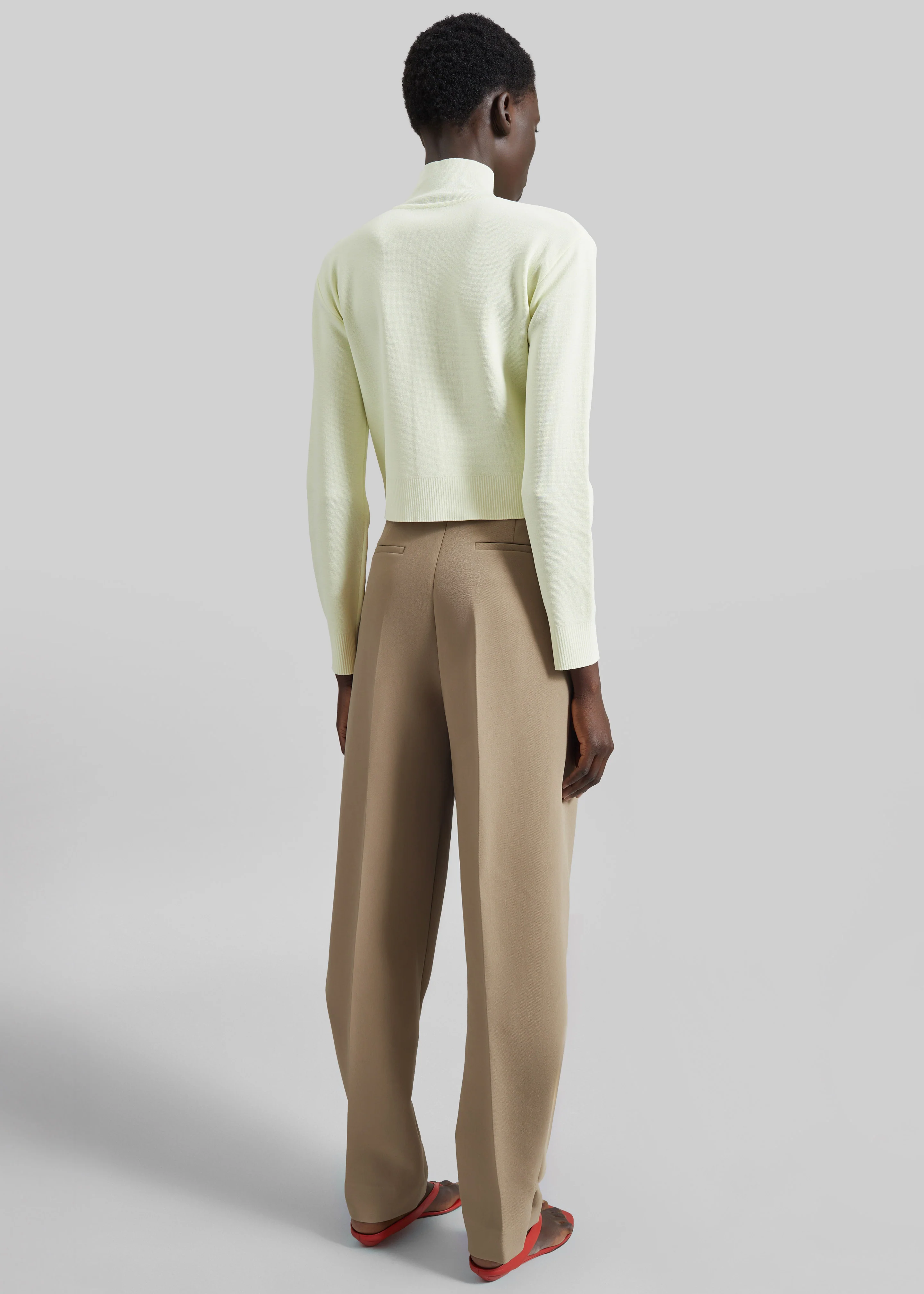 Doyer Pleated Trousers - Beige - Image 11