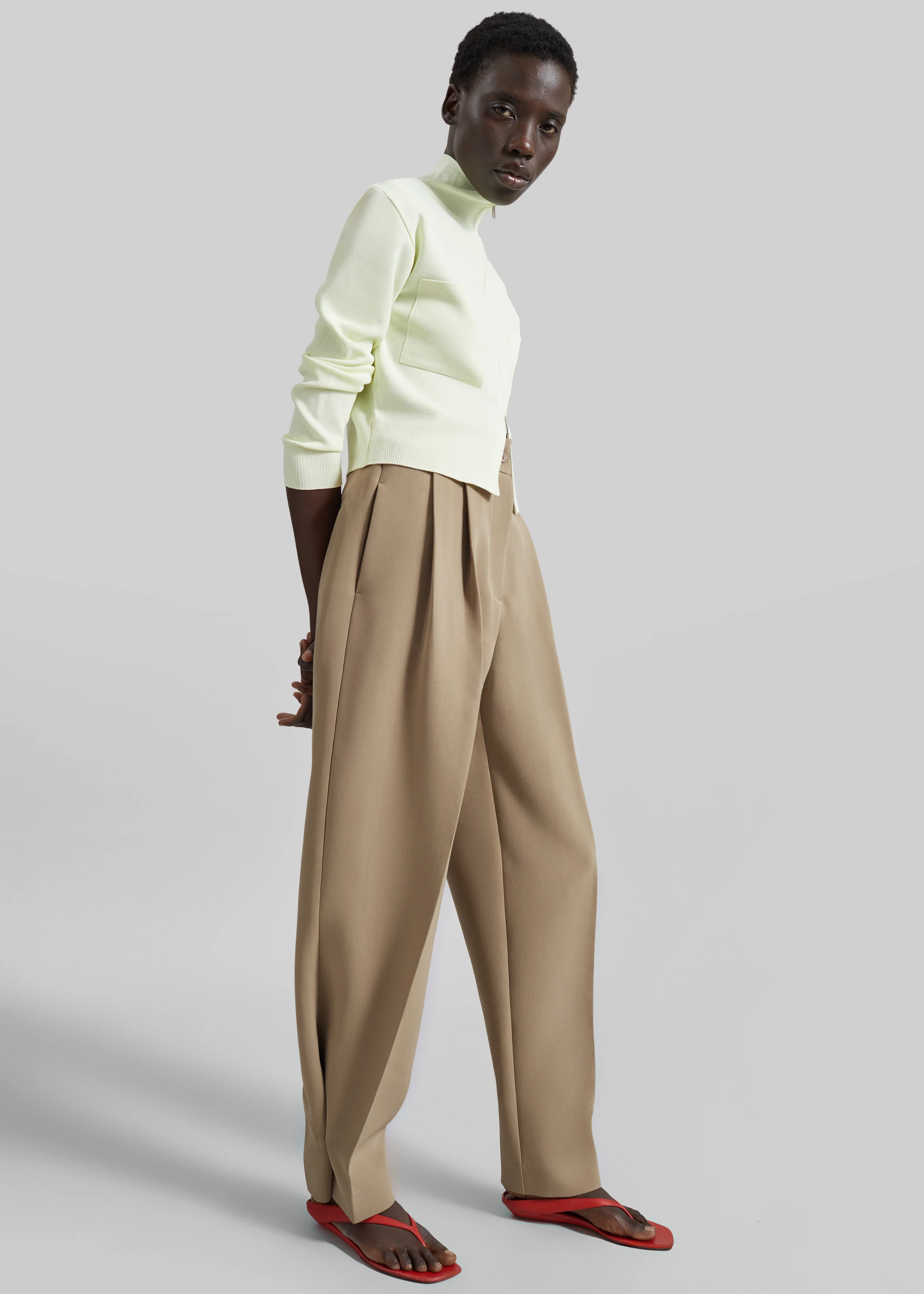 Doyer Pleated Trousers - Beige - Image 6