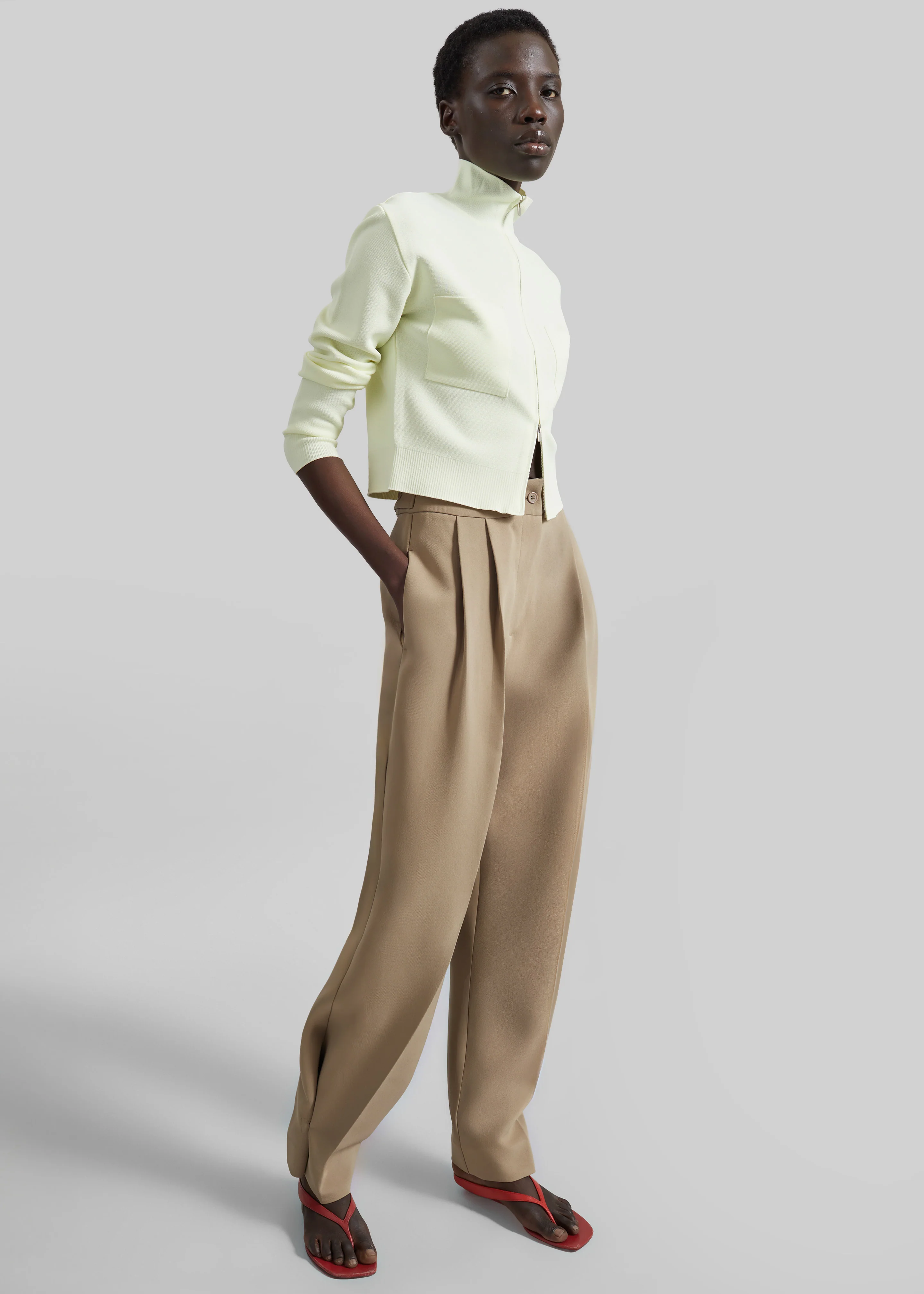 Doyer Pleated Trousers - Beige - Image 8