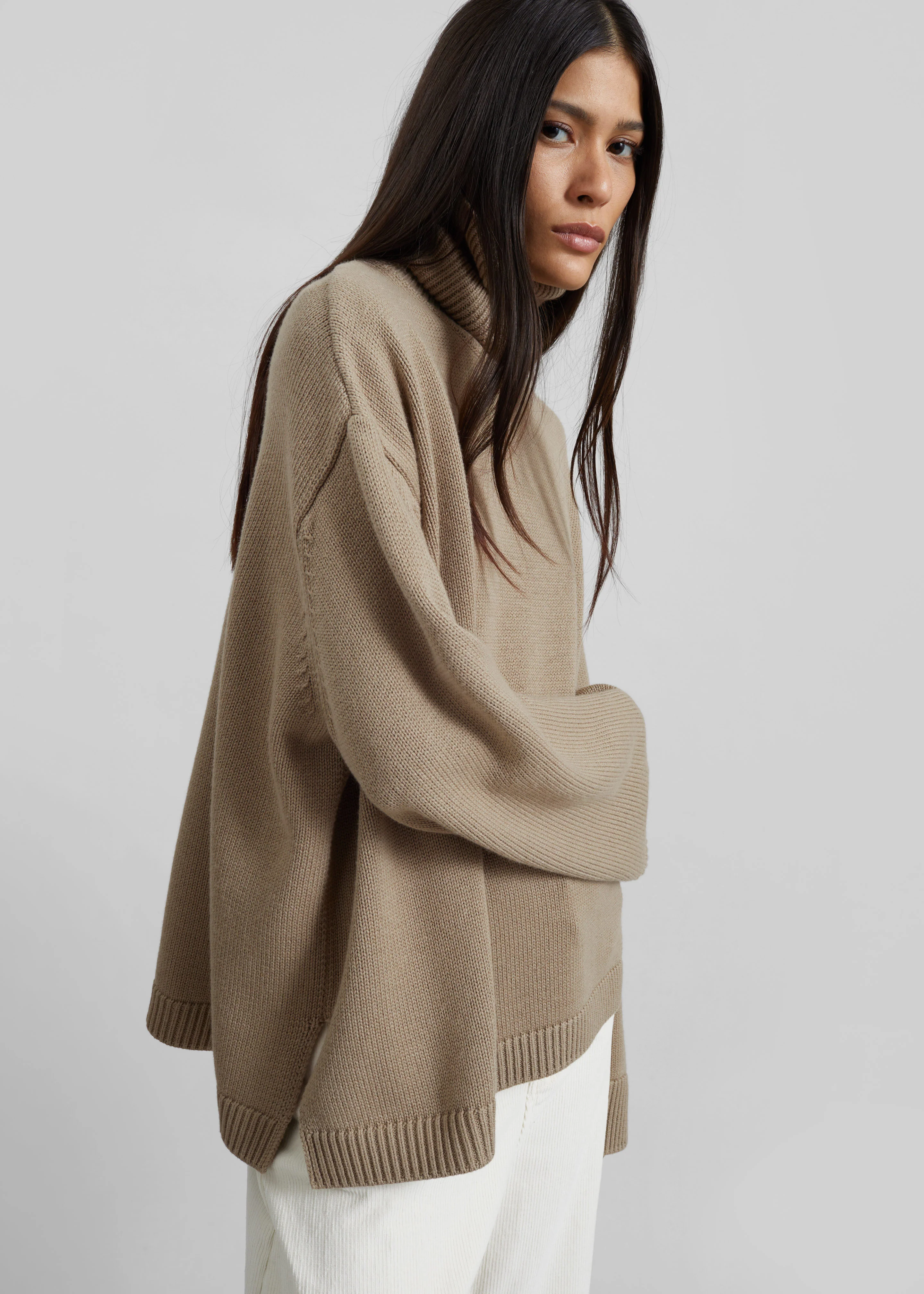Rhea Trapeze Turtleneck - Beige - Image 6